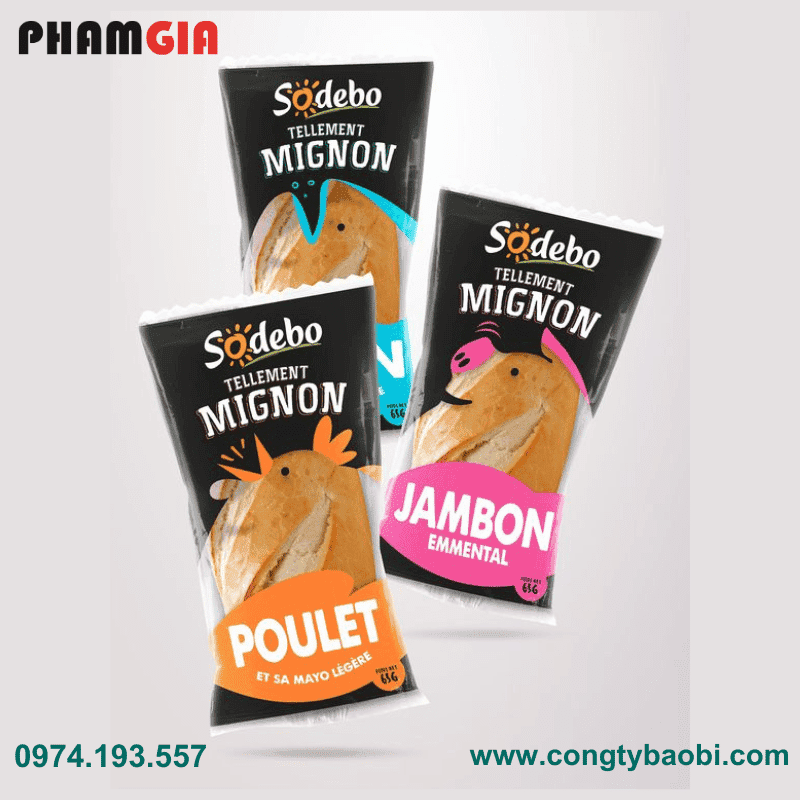 Công ty sản xuất bao bì màng ghép, bao bì sản phẩm chất lượng cao