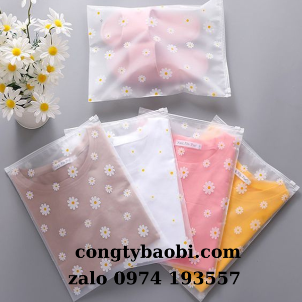 Túi zipper khóa kéo in ấn theo yêu cầu